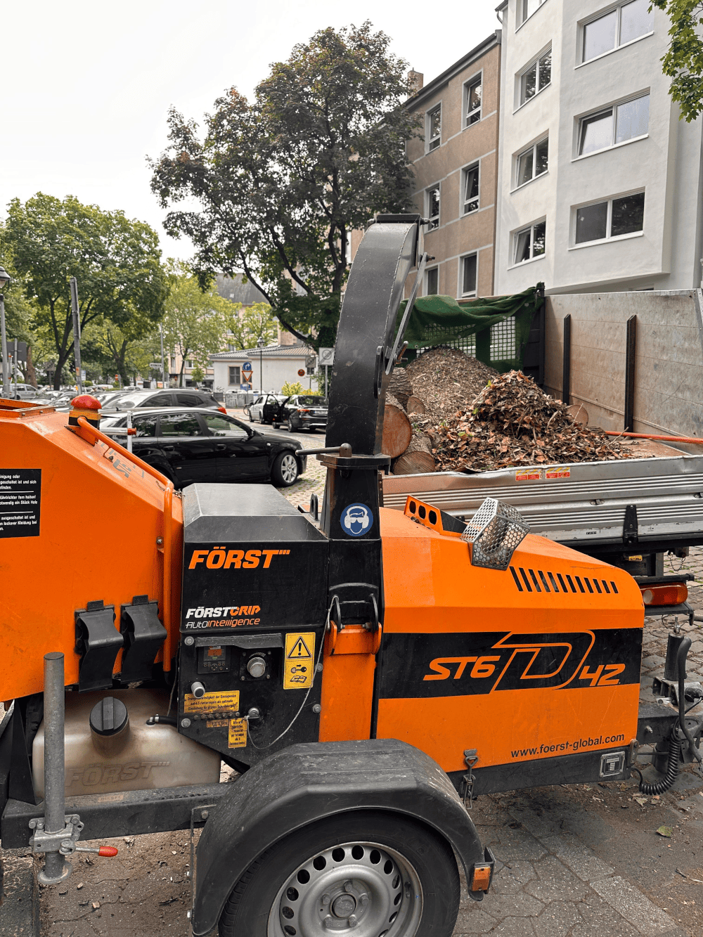 Teamwork bei der Kronenpflege