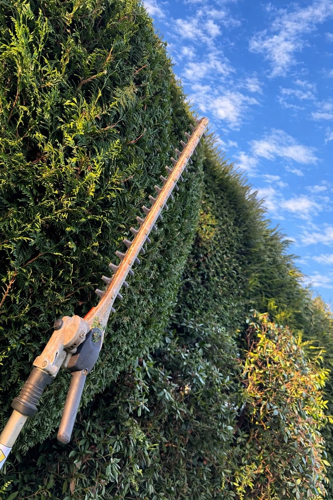 Landschaftspflege Projekt