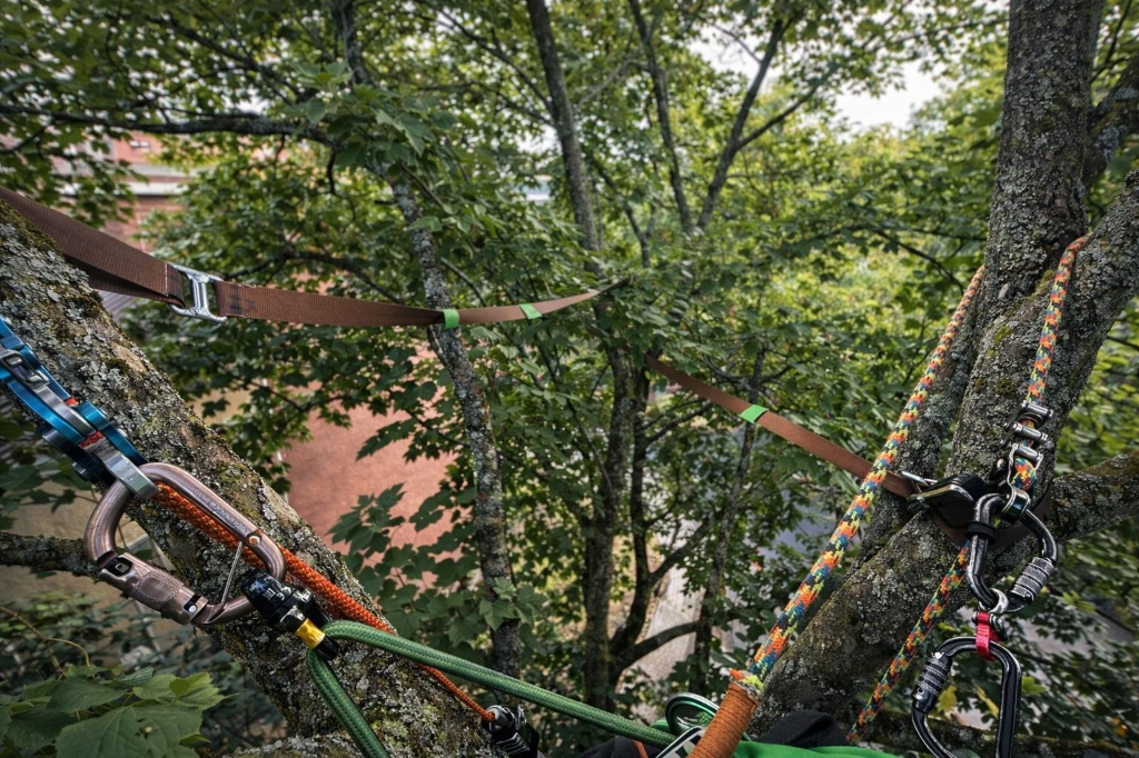 Ablauf textile Kronensicherung