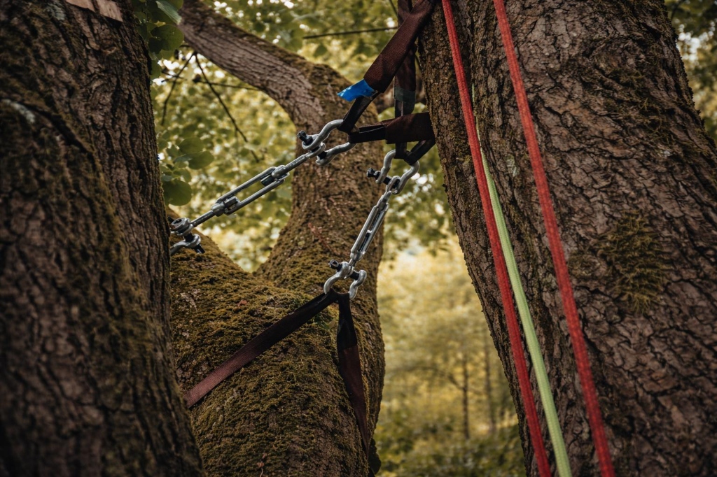 Vorteile textile Kronensicherung Baumkrieger