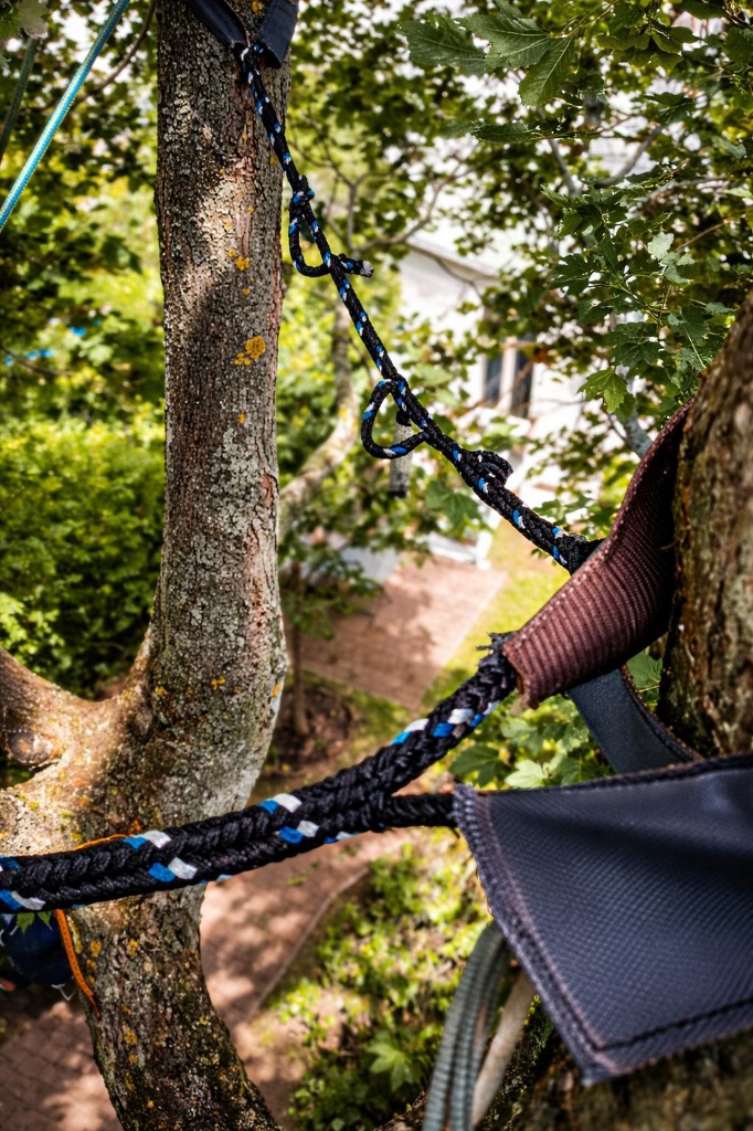 Montage Kronensicherung Baumkrieger