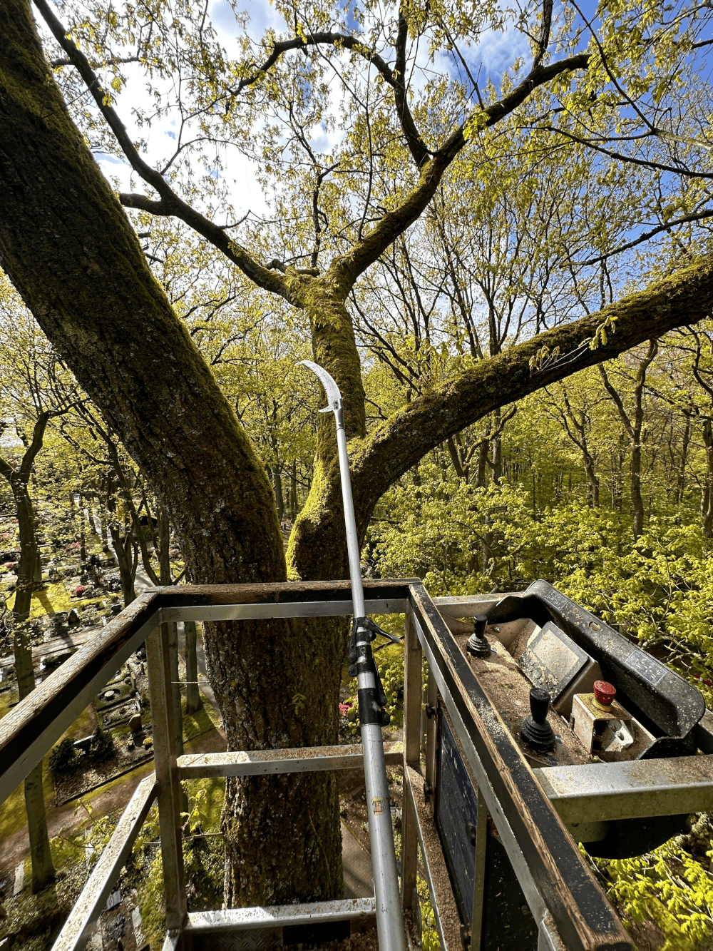 Textile Kronensicherung im Einsatz