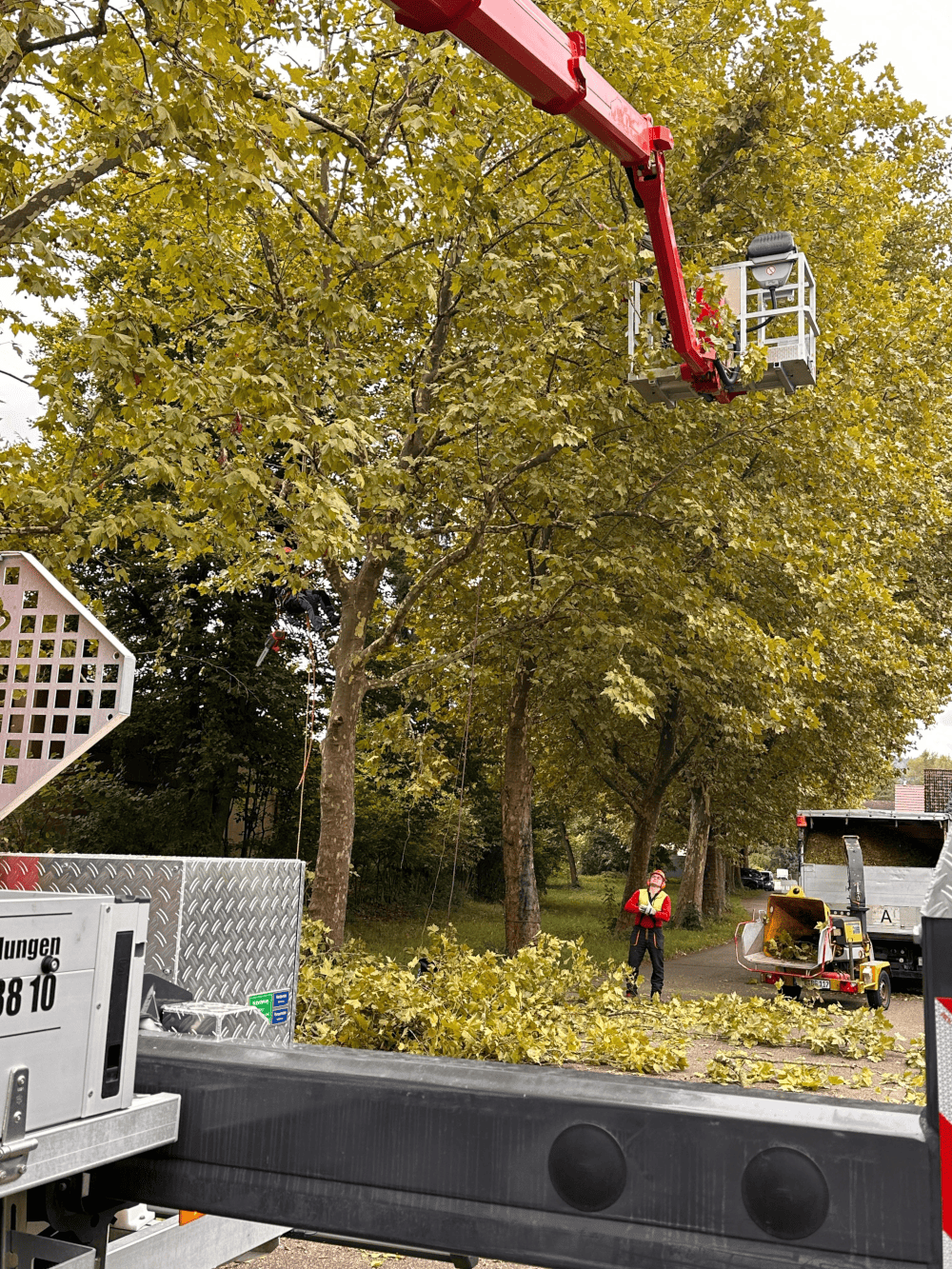 Kronensicherung Tipps