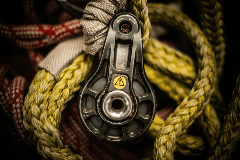 Seilklettertechnik Baumpflege Düsseldorf