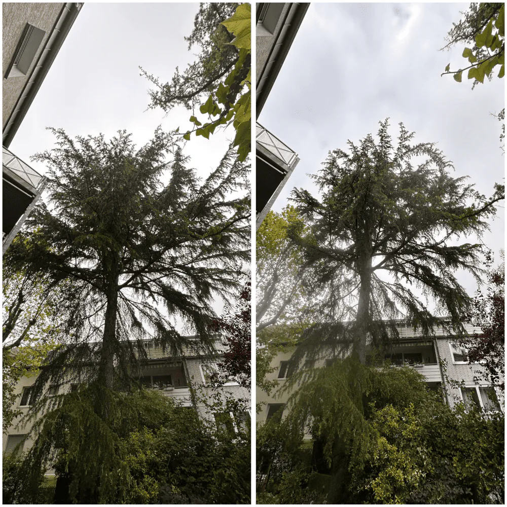 Einsatz-Bild