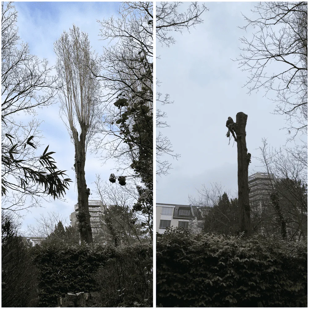 Einsatz-Bild